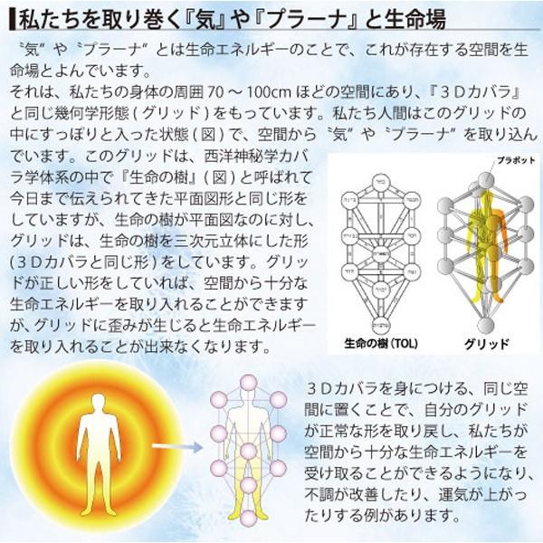 3Dカバラ・パドマペンダント 医学博士 丸山アレルギークリニック 3Dカバラ・パドマペンダント 医学博士 丸山アレルギークリニック