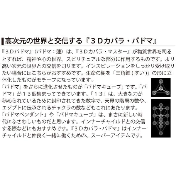 3Dカバラ・パドマペンダント 医学博士 丸山アレルギークリニック 3Dカバラ・パドマペンダント 医学博士 丸山アレルギークリニック