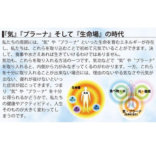 ユニカ 3Dカバラ ダ・ヴィンチキューブ・メサイア 電磁波対策 生命