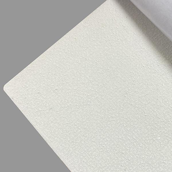 電磁波防止グッズ MAXmini+ マックスミニ プラス 正規品取扱店 電磁波