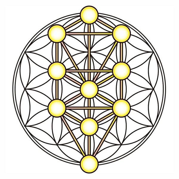 クスリエ 時空変換 魔方陣 ユニカ 医学博士 丸山修寛 監修 : MWJ TOKYO