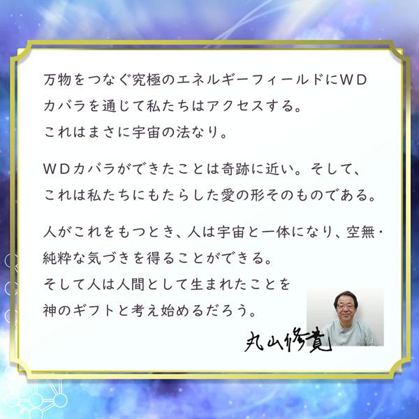 ユニカ 電磁波防止 丸山医師監修 WDカバラ ネックレストップ チャーム ロジウムメッキの画像