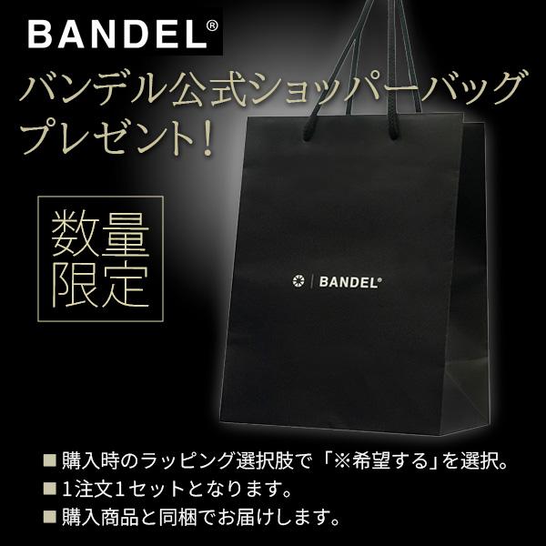 BANDEL バンデル Healthcare Necklace Earth mini 2.0 磁気 肩 BANDEL バンデル Healthcare Necklace Earth mini 2.0 磁気 肩