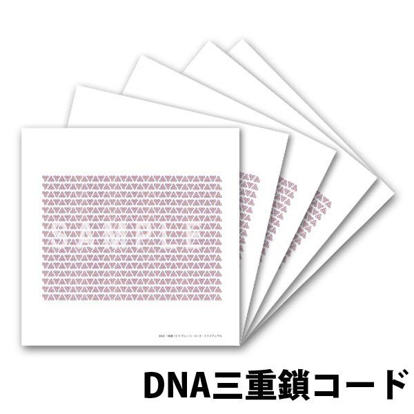 クスリエ 小サイズ 5枚入 クスリ絵 カタカムナ ユニカ 医学博士 クスリエ 小サイズ 5枚入 クスリ絵 カタカムナ ユニカ 医学博士