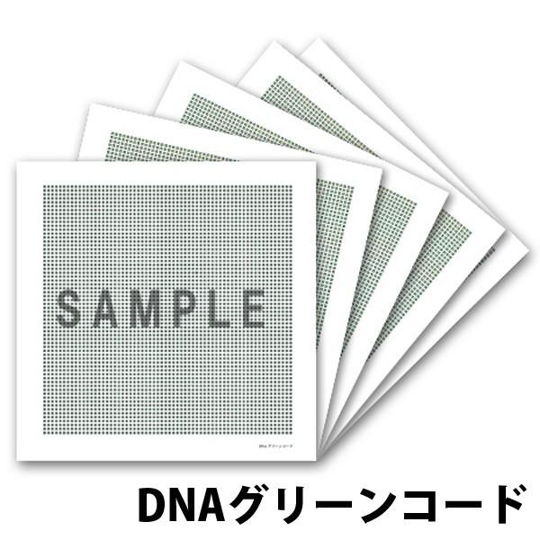 クスリエ 小サイズ 5枚入 クスリ絵 カタカムナ ユニカ 医学博士 丸山修