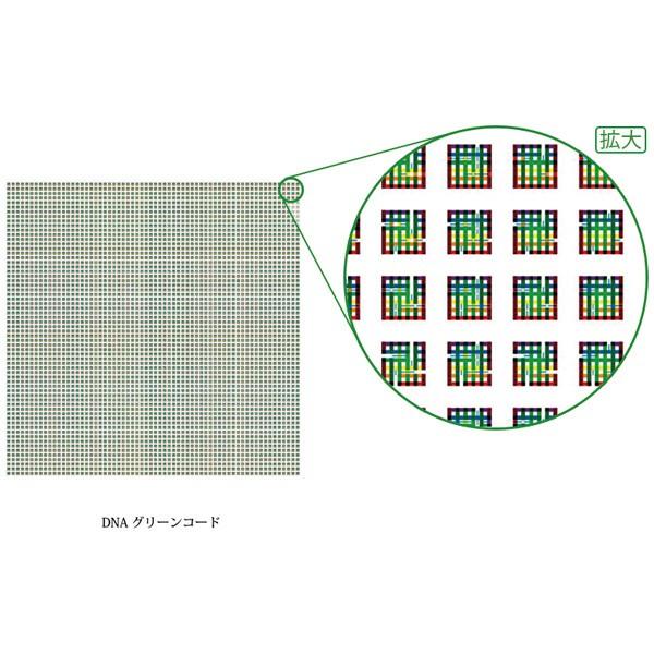 クスリエ 小サイズ 5枚入 クスリ絵 カタカムナ ユニカ 医学博士