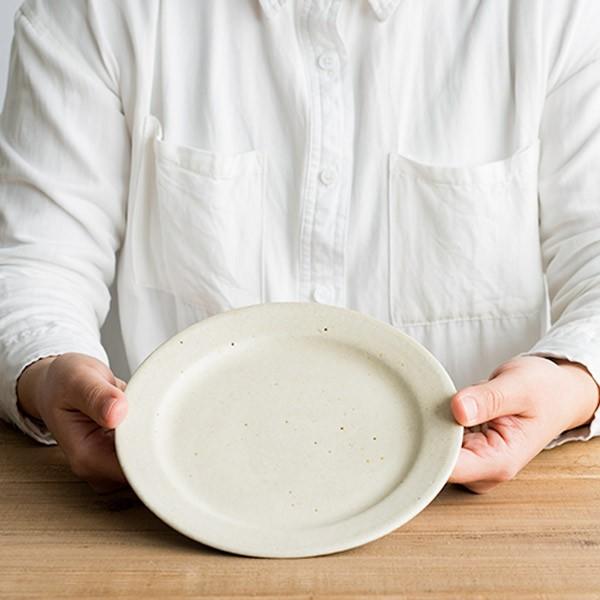 信楽焼 陶器 リムプレート Mサイズ お皿 食器 明山陶業 プレゼント