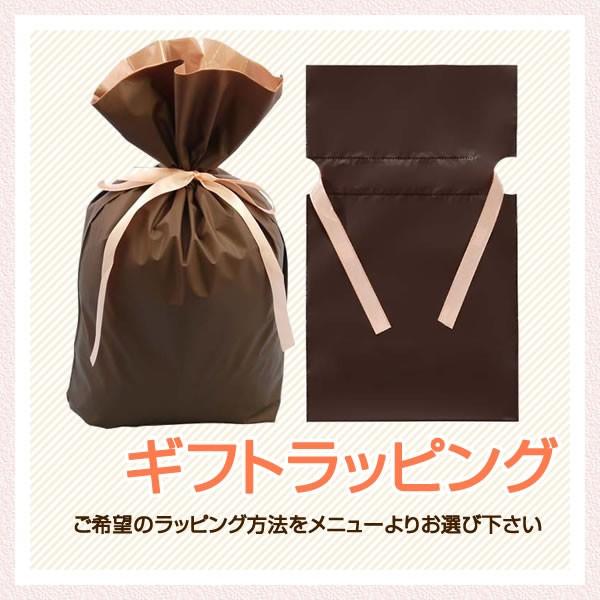 プレゼント ギフトラッピングA ラッピング袋 同梱のみ (包装はお客様ご