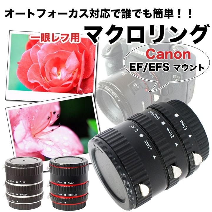Canon レンズ2コ マクロ用に三脚オマケ ケース付き 【公式