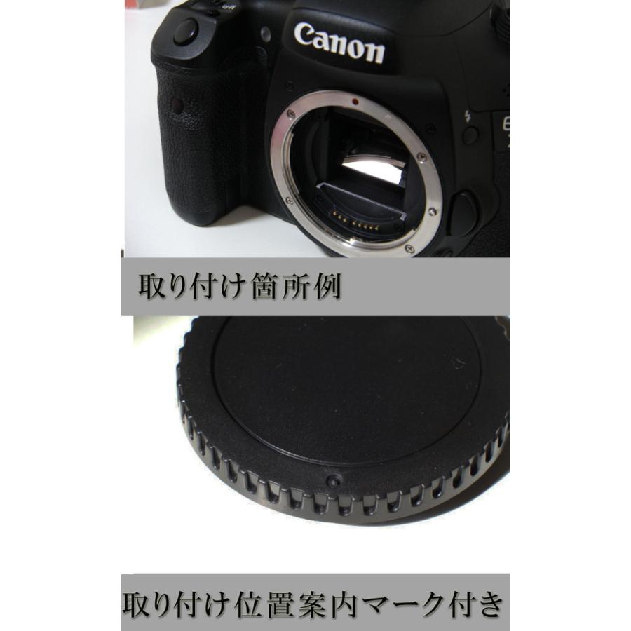 Canon EF EF-S マウント用 レンズダストキャップ & ボディマウント