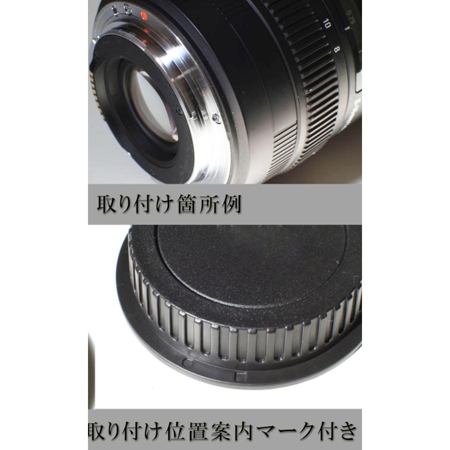 Canon EF EF-S マウント用 レンズダストキャップ & ボディ Canon EF EF-S マウント用 レンズダストキャップ & ボディ