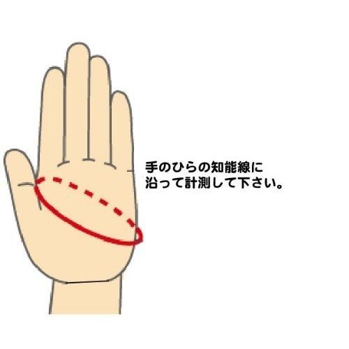 サイクルグローブ 冬 冬用サイクルグローブ GC スマホ対応 防寒 防風手袋 サイクリング apt'|asiapacifictrading|05