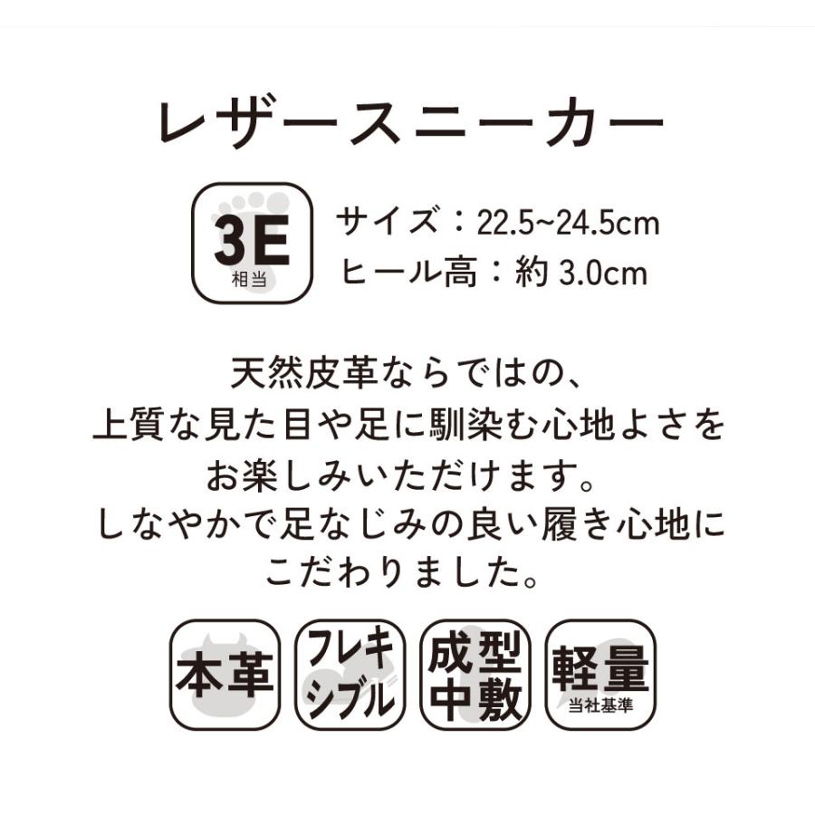 AcureZ 母の日 アシックス 商事 スニーカー AcureZ(アキュアーズ AcureZ 母の日 アシックス 商事 スニーカー AcureZ(アキュアーズ