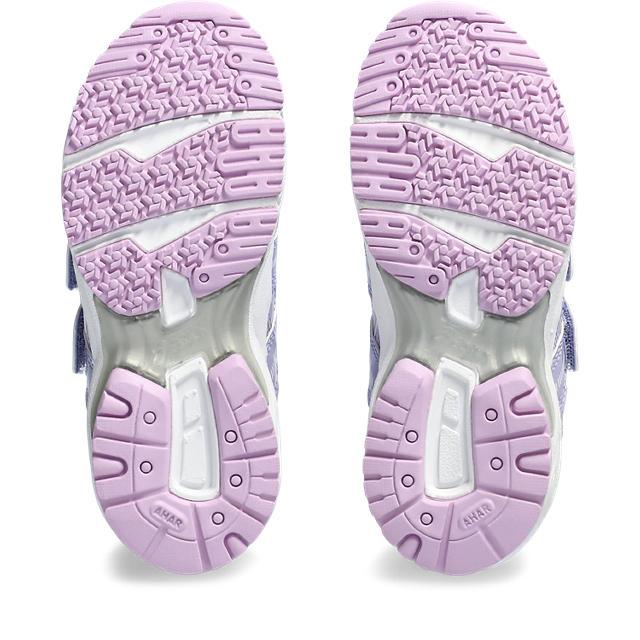 シュタイフ　アンズ シュタイフ アンズ