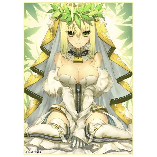 クラスター カードスリーブ 嫁王 Ver 2 Illust Kwkm サンクリ17 Winter Sld Cluster 041 カードショップ買賊王 通販 Yahoo ショッピング