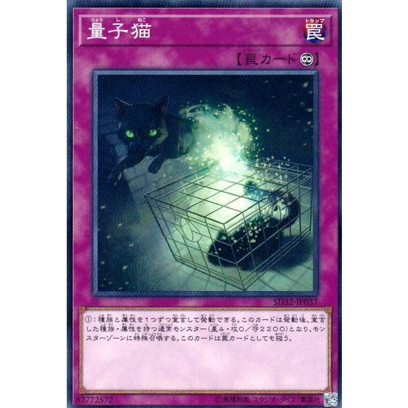 遊戯王 Sd32 Jp037 量子猫 N ノーマル Yg Sd32 Jp037 カードショップ買賊王 通販 Yahoo ショッピング
