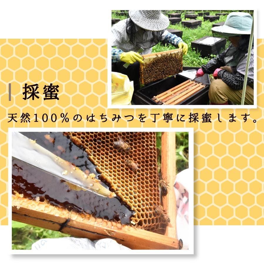はちみつ　国産　蜂蜜　純粋はちみつ　国産はちみつ　喜多方産 100％ ハチミツ 50g｜asis1744｜07