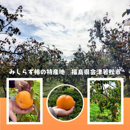 会津みしらず柿ドライフルーツ 20g入5個セット 福島県 会津産 贈り物