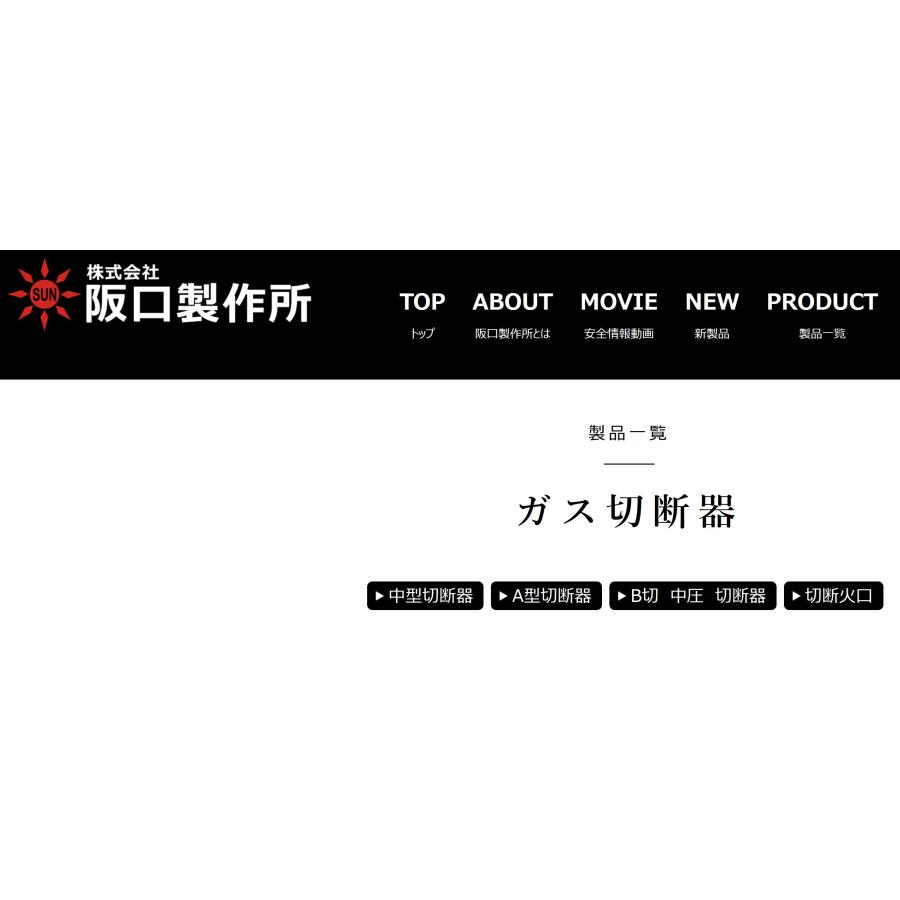 CT-01 ワンタッチカプラ付き 専用火口3本付き 中型切断器 阪口製作所