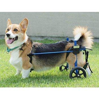 レンタル車椅子　後足サポート（2輪）車いす　体重18kgまで