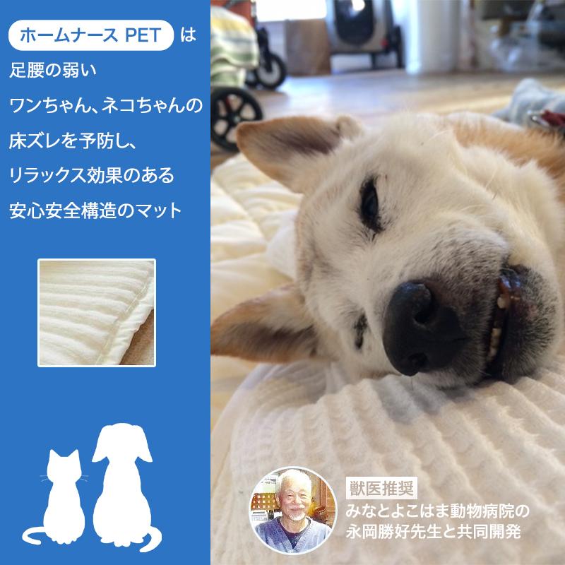 ホームナース pet 床ずれ予防マット Lサイズ 床ずれ防止介護マット・ホームナース LL : 芦屋バティーズ