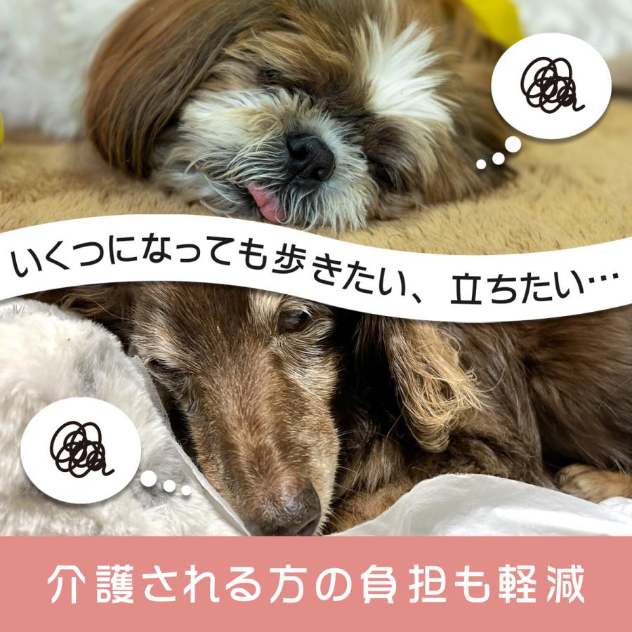 てくてくB TEKUTEK-B 【ダックス用】ワンコのシルバーカー 犬用歩行