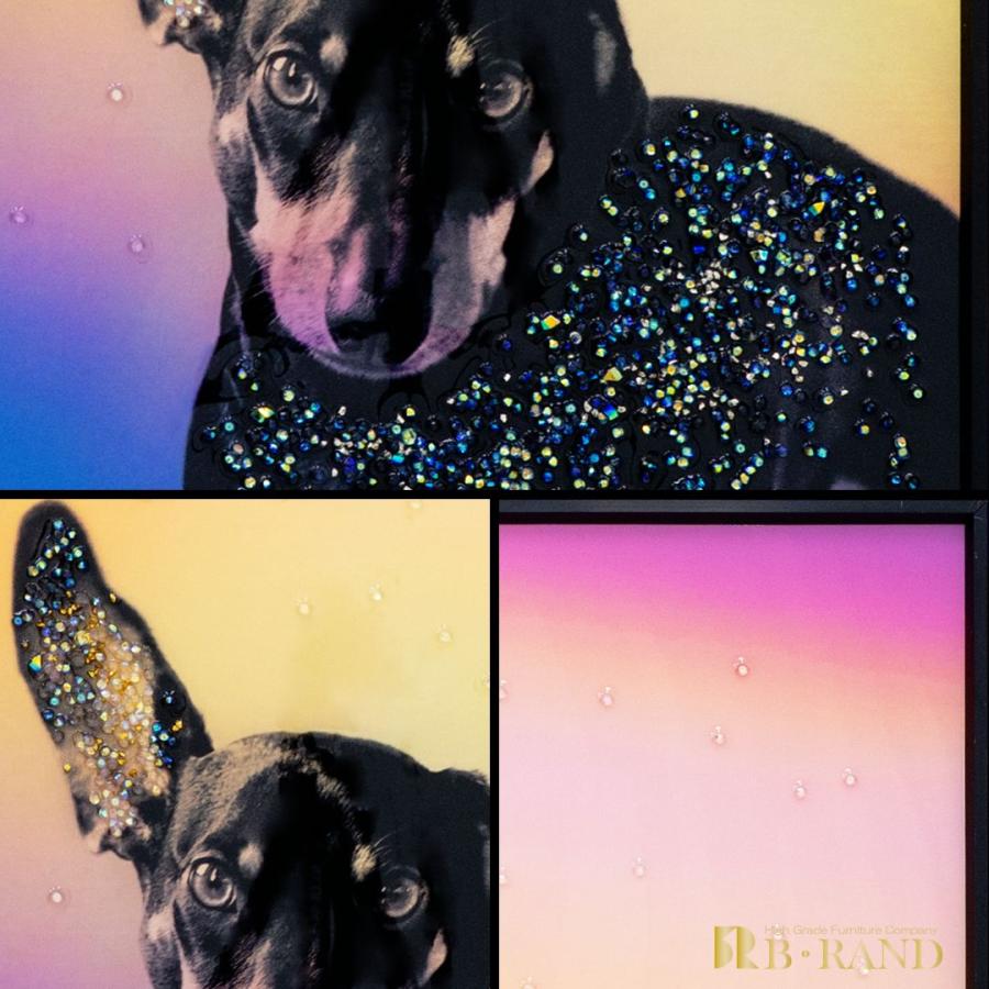 クリスタルアート リスニング 41x61cm ミニチュアピンシャー 犬 ドッグ 動物 虹 おしゃれ 可愛い ゴージャス 新築祝い プレゼント 記念日 誕生日 アスクインの画像