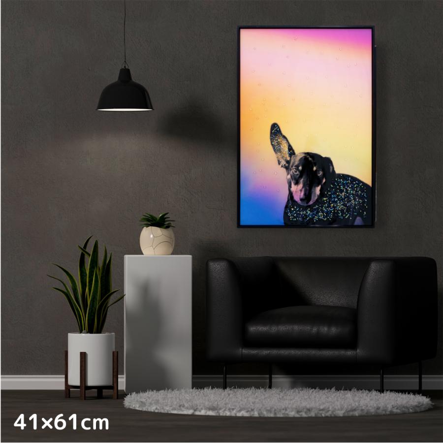 クリスタルアート リスニング 41x61cm ミニチュアピンシャー 犬 ドッグ 動物 虹 おしゃれ 可愛い ゴージャス 新築祝い プレゼント 記念日 誕生日 アスクインの画像