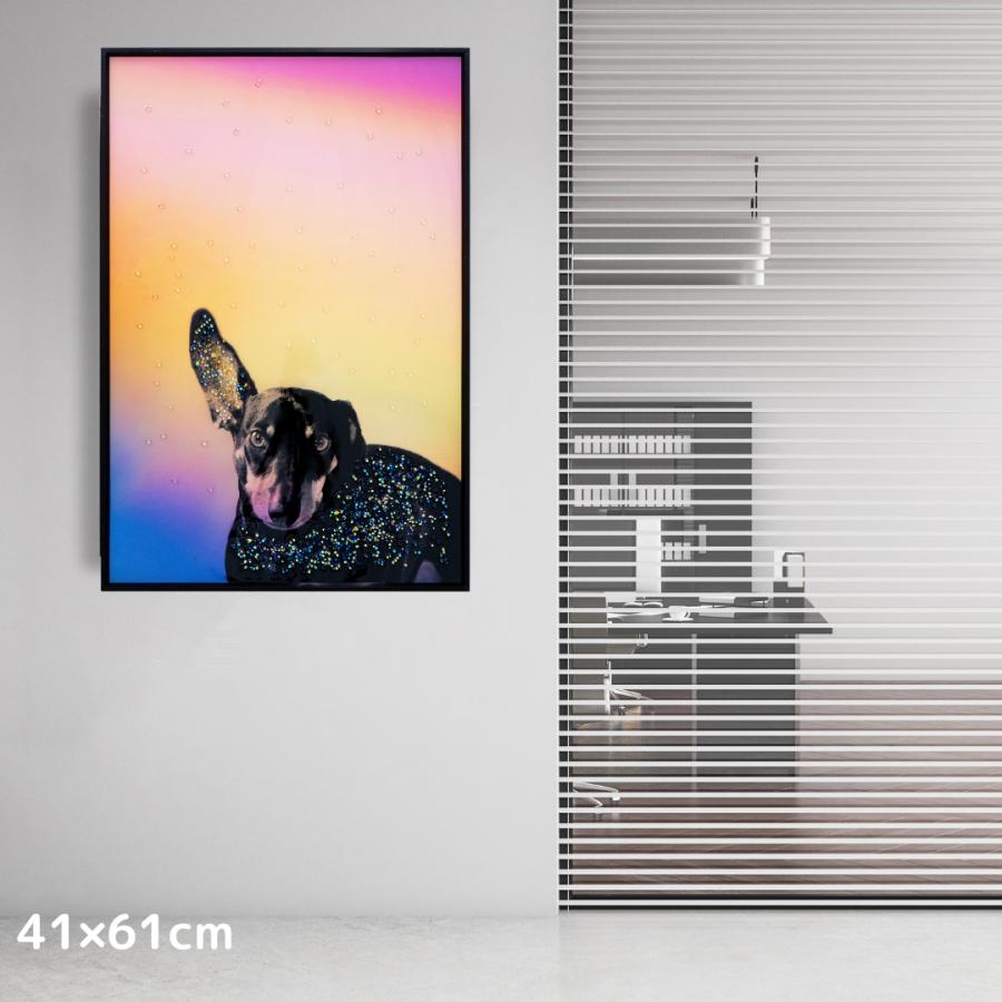 クリスタルアート リスニング 41x61cm ミニチュアピンシャー 犬 ドッグ 動物 虹 おしゃれ 可愛い ゴージャス 新築祝い プレゼント 記念日 誕生日 アスクインの画像