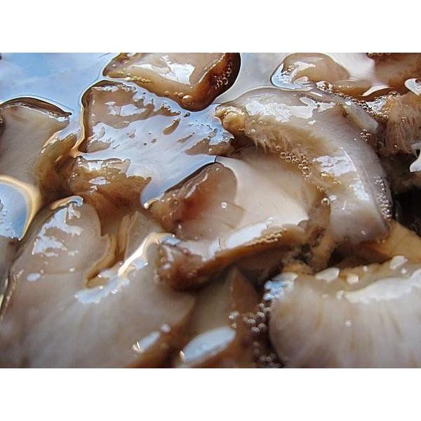 味付き青なまこ500g なまこ ナマコ 海鼠 Ajitukiaonamako Ask Sanin 山陰境港 通販 Yahoo ショッピング