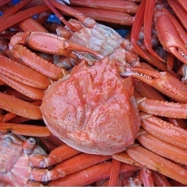 【即納】名人の「浜茹で蟹L-5kg」茹で上げ即冷凍．．．お急ぎの方は是非　(紅ずわい蟹)｜ask-sanin｜02