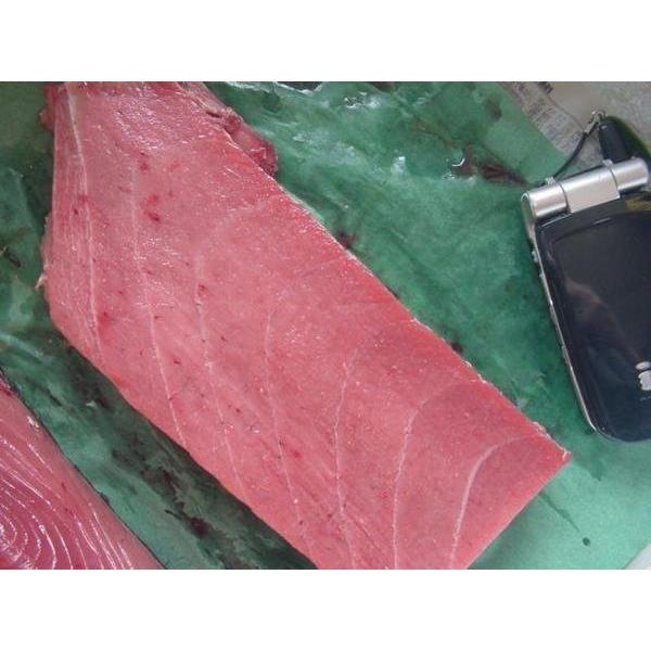目利きが選び抜いた！！「中トロ1〜2片で500g」 鮪 マグロ まぐろ