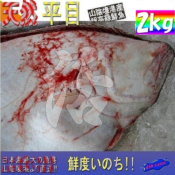 天然物 平目2 0kg前後 ひらめ ヒラメ 平目 鮃 Hirame02 Ask Sanin 山陰境港 通販 Yahoo ショッピング