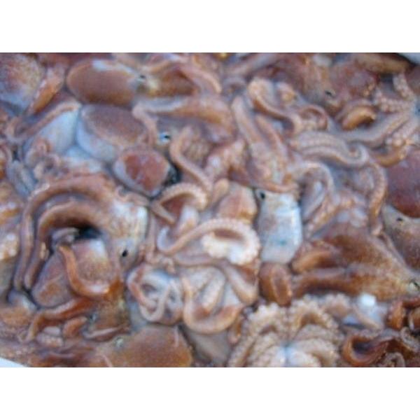 小タコ3kg詰め ヤナギタコ 冷凍 たこ タコ 蛸 小ダコ Kotako3kg Ask Sanin 山陰境港 通販 Yahoo ショッピング