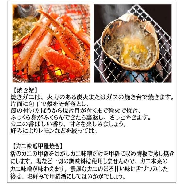 予約販売11月中旬頃発送)活松葉蟹特選1kgセット(2杯 足折れ1、2本ナシ