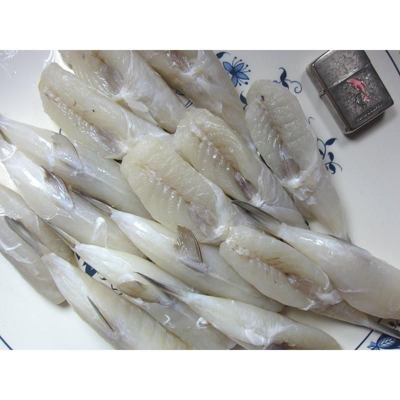 みがき白サバフグ1kg 皮無 ドレス 10 15尾入り ふぐ フグ 河豚 Migakisirosabahugu Ask Sanin 山陰境港 通販 Yahoo ショッピング