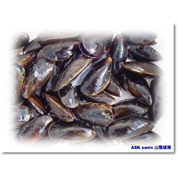 貝付きボイルムール貝500g ムール貝 むーる貝 貝 カイ かい Muurugai Ask Sanin 山陰境港 通販 Yahoo ショッピング