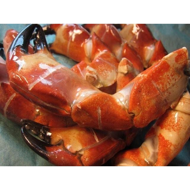 ストーンクラブ爪1kg 11 入り ホールクロースリット入り かに カニ すとーんくらぶ 石蟹 いしかに いしがに イシガニ Stonecrabtume Ask Sanin 山陰境港 通販 Yahoo ショッピング