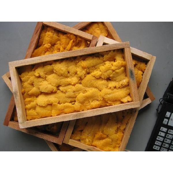 生板雲丹5枚入り うに ウニ Uni 02 Ask Sanin 山陰境港 通販 Yahoo ショッピング