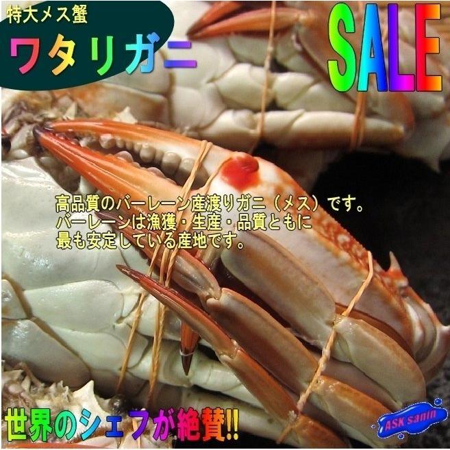 キロ売り「ワタリ蟹10尾前後で1kg」バーレーン産、台湾ガザミ