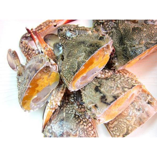 キロ売り「ワタリ蟹10尾前後で1kg」バーレーン産、台湾ガザミ メスのみ