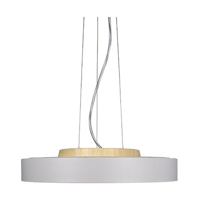 DI CLASSE（ディクラッセ） 照明器具 ポイント利用 LED シーリング