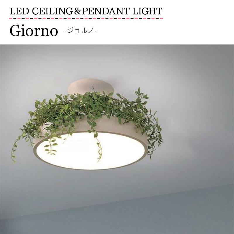 DI CLASSE 照明 DI CLASSE 照明器具 ポイント利用 LED シーリングライト