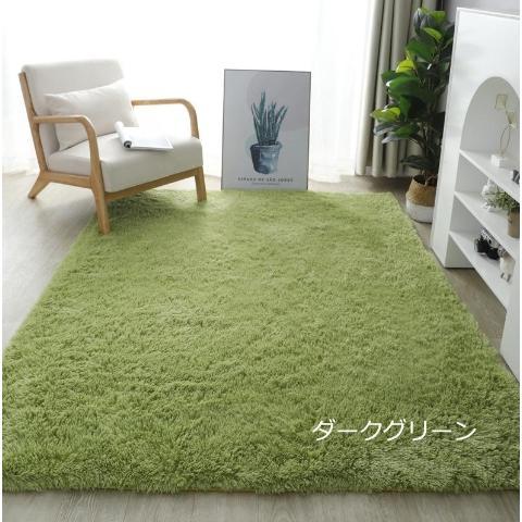 ラグ カーペット 厚手 低反発 防音 滑り止め サイズ贅沢 オールシーズン おしゃれ 春 夏 北欧 絨毯 純色 リビングルーム ベッドルーム 極厚 |  | 14