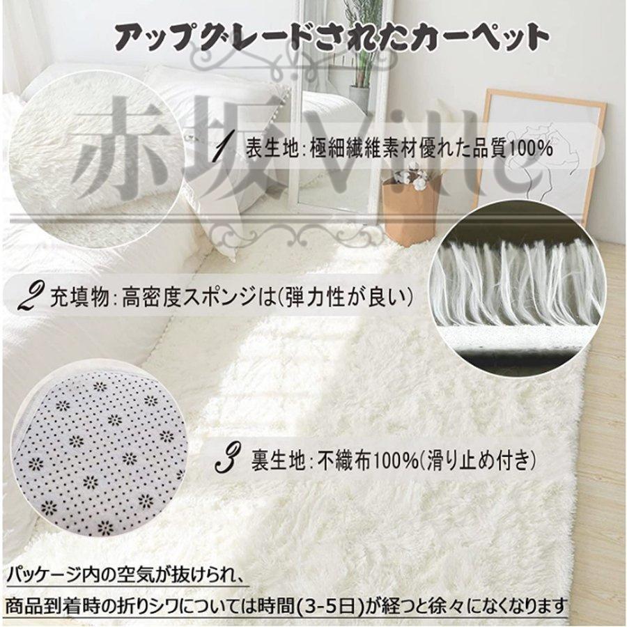 ラグ カーペット 厚手 低反発 防音 滑り止め サイズ贅沢 オールシーズン おしゃれ 春 夏 北欧 絨毯 純色 リビングルーム ベッドルーム 極厚 |  | 04