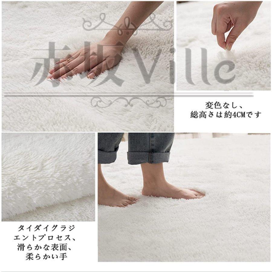 ラグ カーペット 厚手 低反発 防音 滑り止め サイズ贅沢 オールシーズン おしゃれ 春 夏 北欧 絨毯 純色 リビングルーム ベッドルーム 極厚 |  | 05
