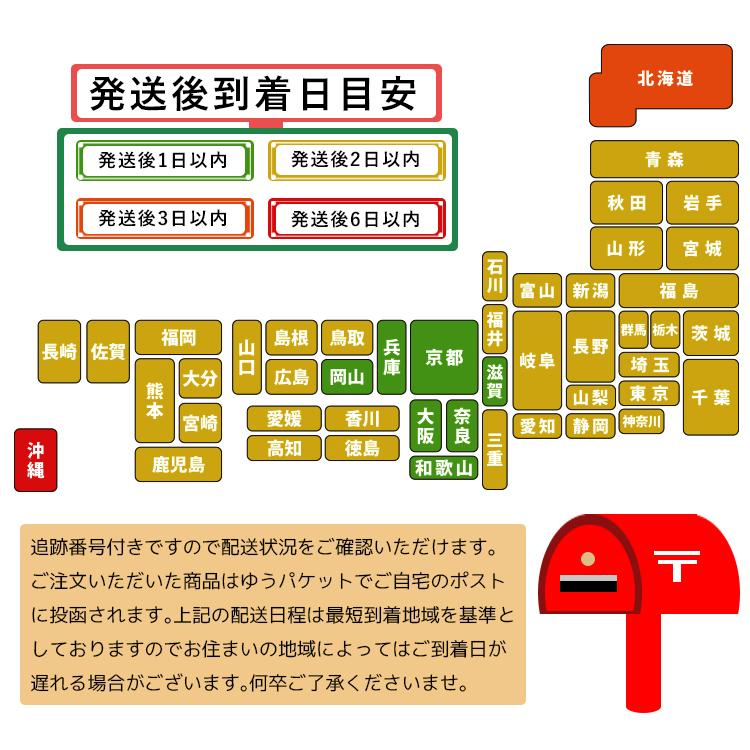 AQUOS R6 保護 レンズガラス カメラガラス アクオス R6|asobi-club|08