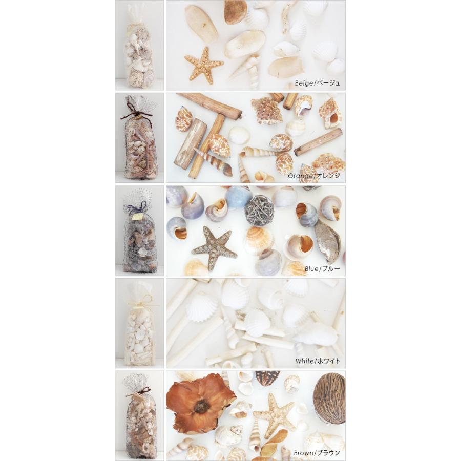 Beach Shell ビーチシェル 貝殻セット De Beachshell 遊びds 通販 Yahoo ショッピング