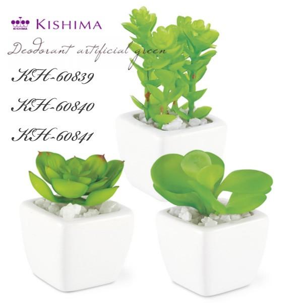 Kishima キシマ サキュレント 消臭アーティフィシャルグリーン S Kh 609 40 41 プランツ 多肉植物 Ct触媒加工 抗菌 防汚 消臭 造花 観葉植物 Kh 609 40 41 遊びds 通販 Yahoo ショッピング