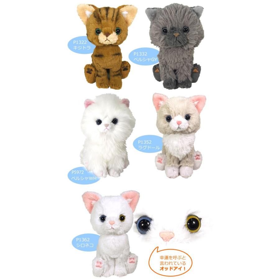 サンレモン kitten キトン ぬいぐるみ 猫 ねこ :kitten:遊びDS - 通販 